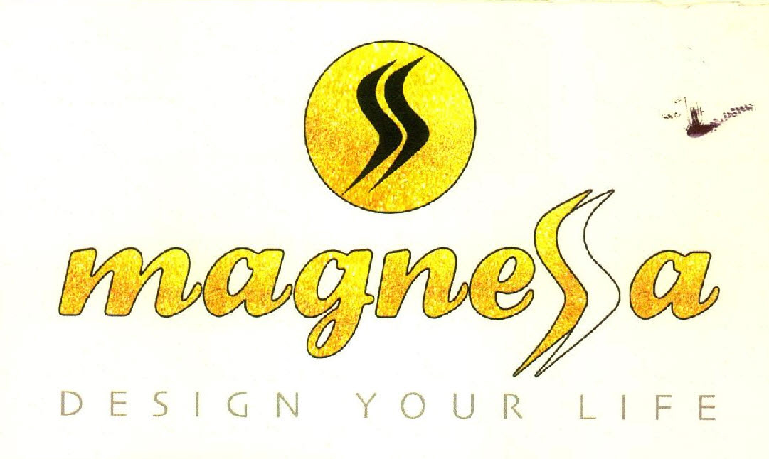 Magnessa Design Your Life Device mark 2802536 Trademark