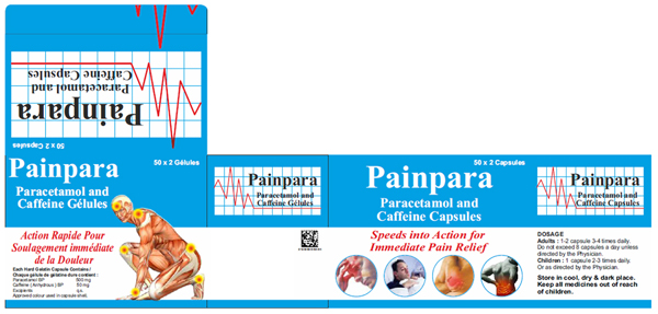 Painpara Device mark 2987360 Trademark