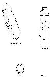 With Device Device mark 1932212 Trademark