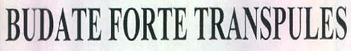 Budate Forte Tra Device mark 2891334 Trademark
