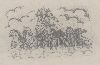 No Name Device mark 501165 Trademark