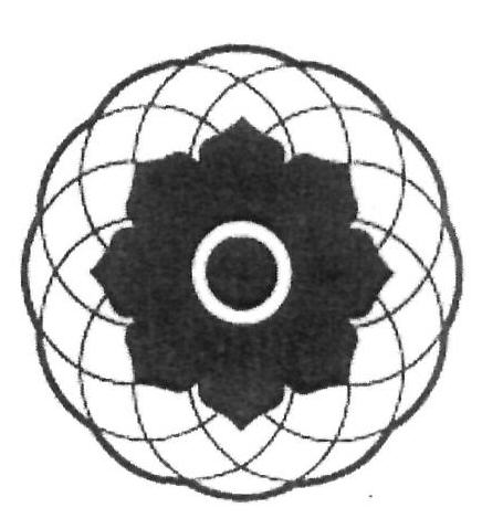 Device Device mark 2396543 Trademark