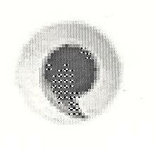 With Device Device mark 1632148 Trademark