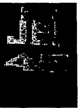 Jet 45 (logo) Device mark 737397 Trademark