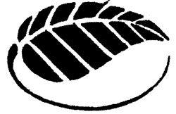 Ajanta Medicals Pvt Ltd., Leave, (leave Device) Device mark 877781 Trademark