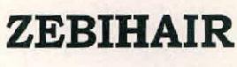 Zebihair Device mark 2749350 Trademark