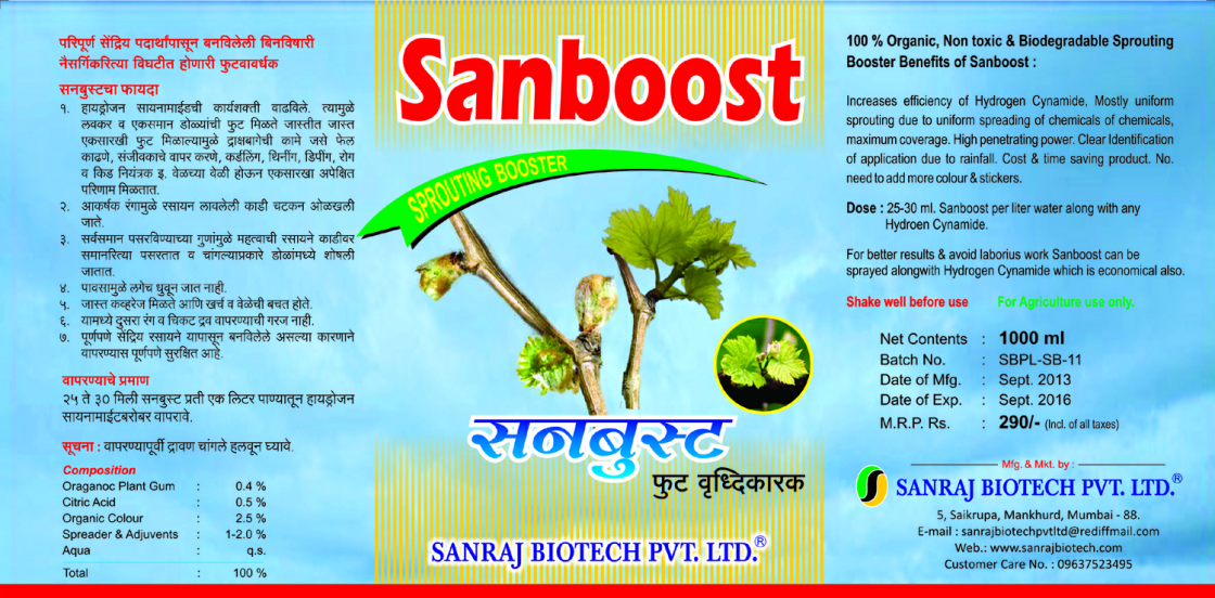 Sanboost Device mark 2610801 Trademark