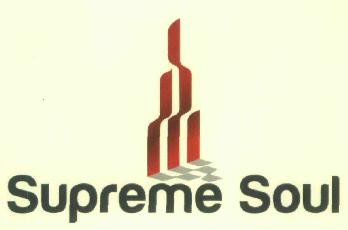 Supreme Soul Device mark 2986768 Trademark
