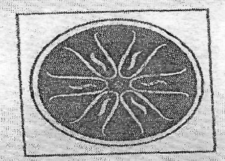 Misc.geo(dev) Device mark 887430 Trademark