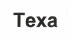 Texa Device mark 2237613 Trademark