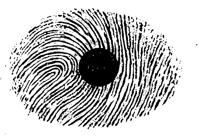 Device Device mark 2197039 Trademark