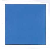 Device Of Rectangle With Blue Back Ground Device mark 1979533 Trademark