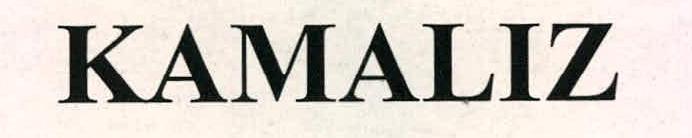 Kamaliz Device mark 2224808 Trademark