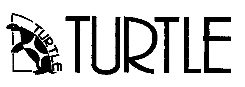 Turtle Device mark 864260 Trademark