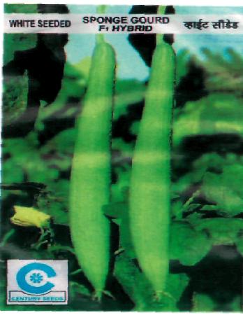 Century Seeds (device) Device mark 2273215 Trademark