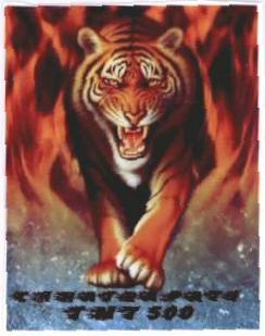 Tmt Chhatrapati (device Of Tigar) Device mark 1640372 Trademark