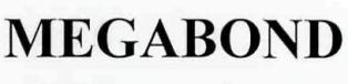 Megabond Device mark 2578478 Trademark