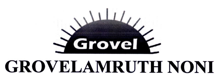 Grovelamruth Noni Device mark 2734888 Trademark