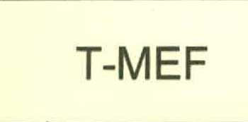 T-mef Device mark 2421534 Trademark