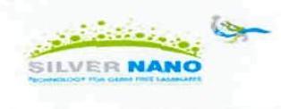 Silver Nano, Device Of Crown, Bird Device mark 2874034 Trademark