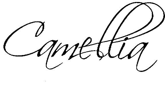 Camellia (special Form Writing) Device mark 1542542 Trademark