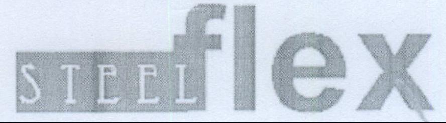 Steelflex Device mark 2029566 Trademark