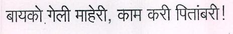 Bayko Geli Maheri, Kaam Kari Pitambari! Device mark 2355133 Trademark
