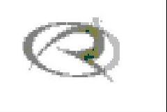 R Device Device mark 1360734 Trademark