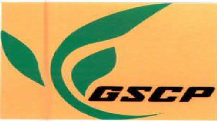 Gscp Device mark 2050319 Trademark