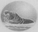 Label Device mark 1488052 Trademark
