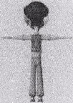 Device Device mark 1636271 Trademark