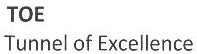 Toe, Tunnel Of Excellence Device mark 1895160 Trademark