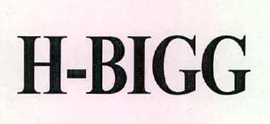H-bigg Device mark 2443302 Trademark