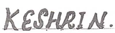 Keshrin Device mark 1078381 Trademark