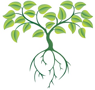 Device Of Tree Device mark 2746921 Trademark