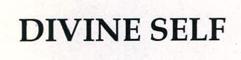 Divine Self Device mark 2248126 Trademark
