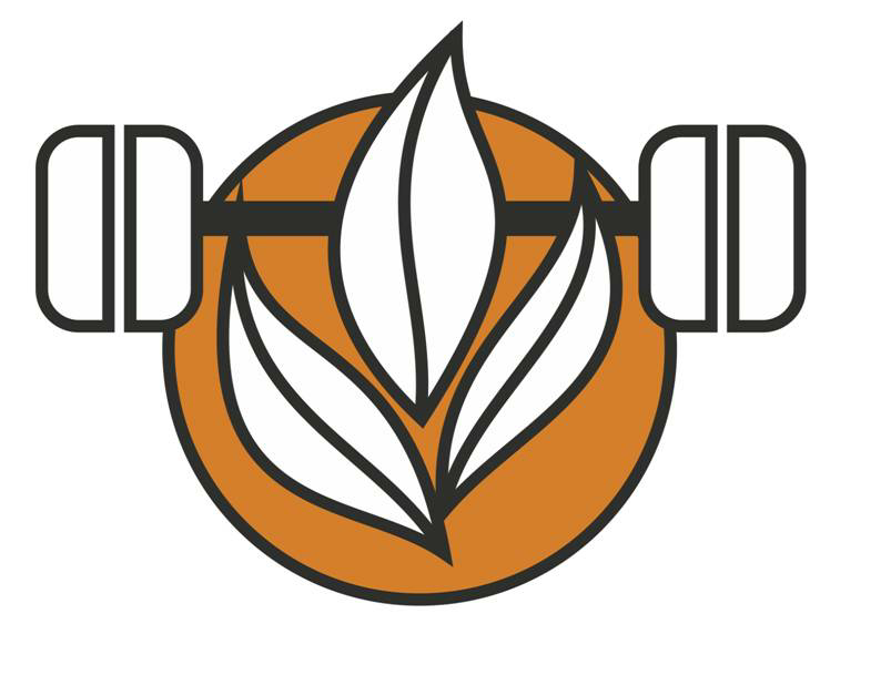 Logo Device mark 2581260 Trademark