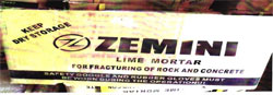 Zemini With Z Logo Device mark 2889094 Trademark