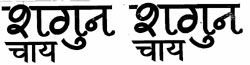 Shagun Chay - Shagun Chay (label) Device mark 1135525 Trademark