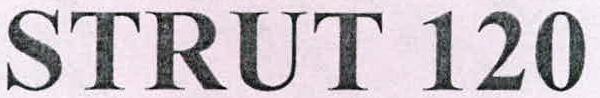 Strut 120 Device mark 2320187 Trademark