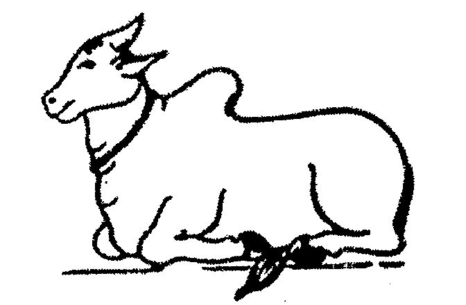 No Name Device mark 483351 Trademark