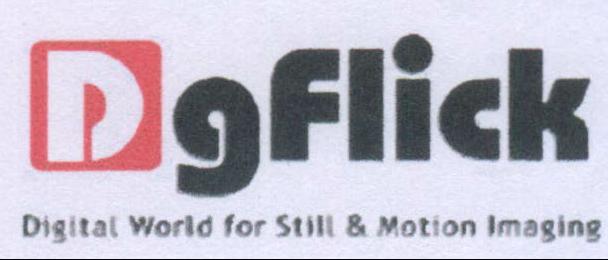 Dgflick Device mark 2043960 Trademark