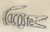 Lacoste Device Of Crocodial Device mark 516874 Trademark