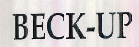 Beck-up Device mark 2454544 Trademark