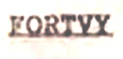 Fortvy Device mark 642880 Trademark