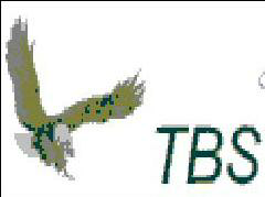 Tbs-fit,device Of Eagle Device mark 1274076 Trademark