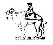 V.s. Device mark 8242 Trademark