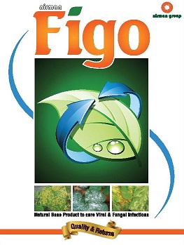Nirman Figo Device mark 2828489 Trademark