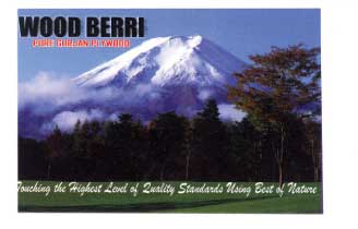 Wood Berri Device mark 1960249 Trademark