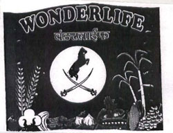 Wonderlife Device mark 1093116 Trademark